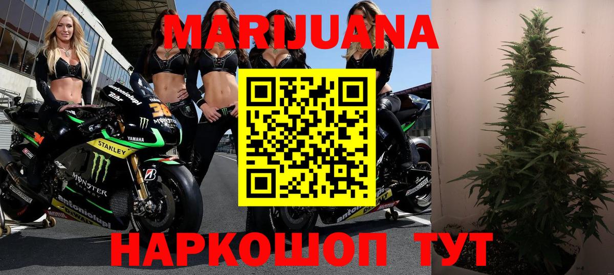Канабис ГИДРОПОН Видное